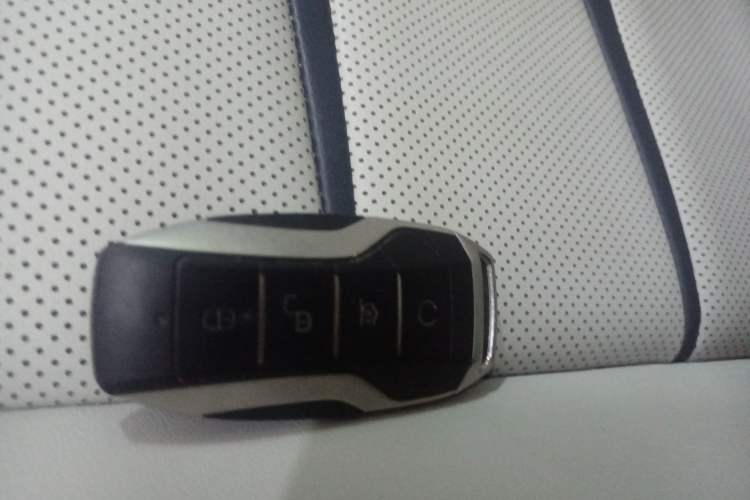 Used BYD e9 2021 Business Edition Vehicle Key
