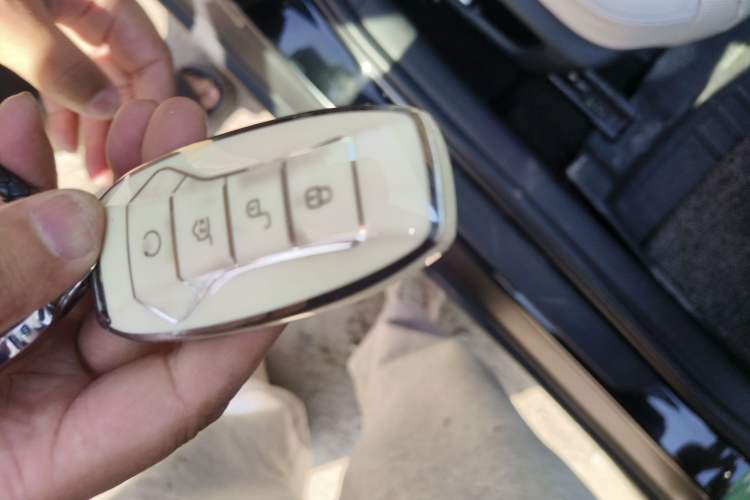 Used BYD e9 2021 Business Edition Vehicle Key