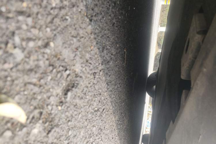 Used BYD e9 2022 Business Edition Chassis Rear Right