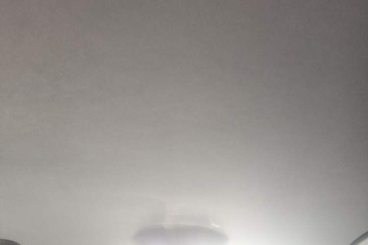 Used BYD e9 2022 Business Edition Headliner