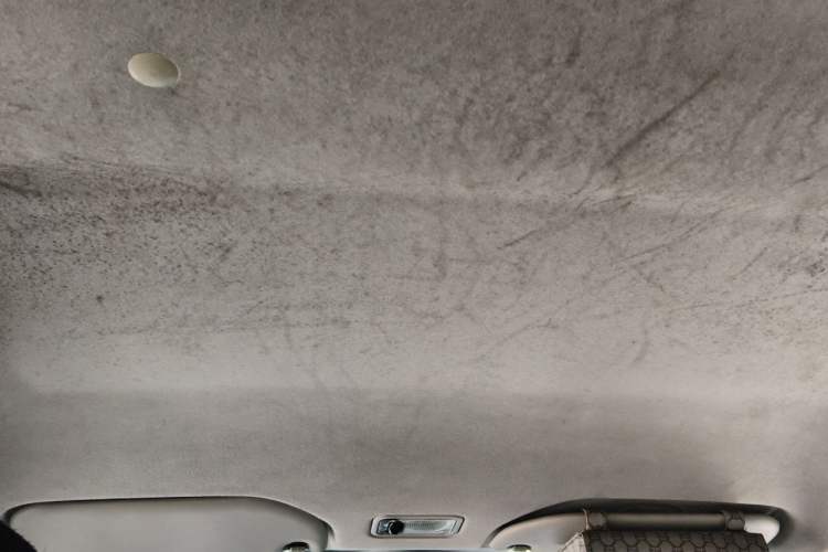 Used BYD F0 2012 1.0L XuanKu Trim Headliner