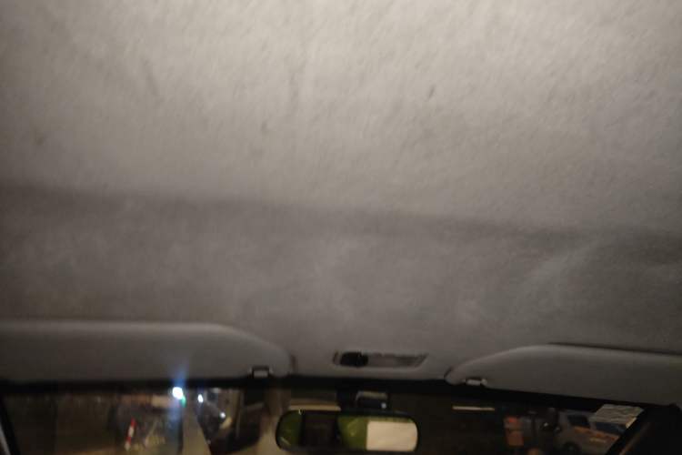 Used BYD F0 2012 1.0L XuanKu Trim Headliner