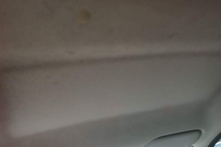 Used BYD F0 2012 1.0L XuanKu Trim Headliner
