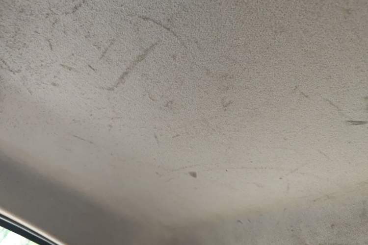 Used BYD F0 2012 1.0L XuanKu Trim Headliner