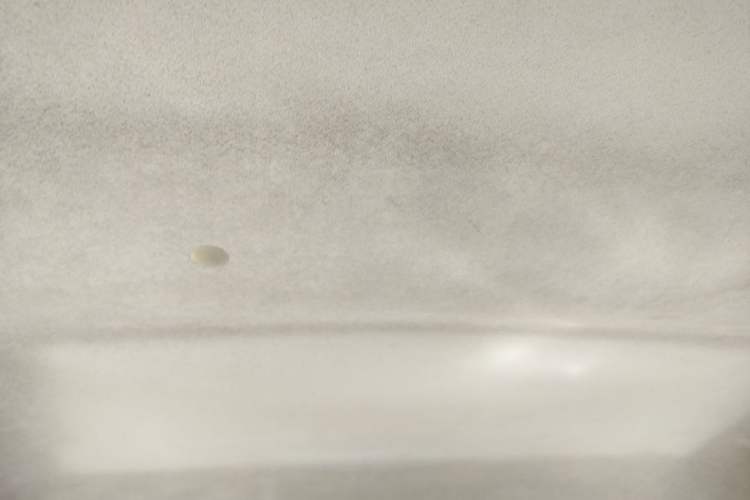 Used BYD F0 2012 1.0L XuanKu Trim Headliner