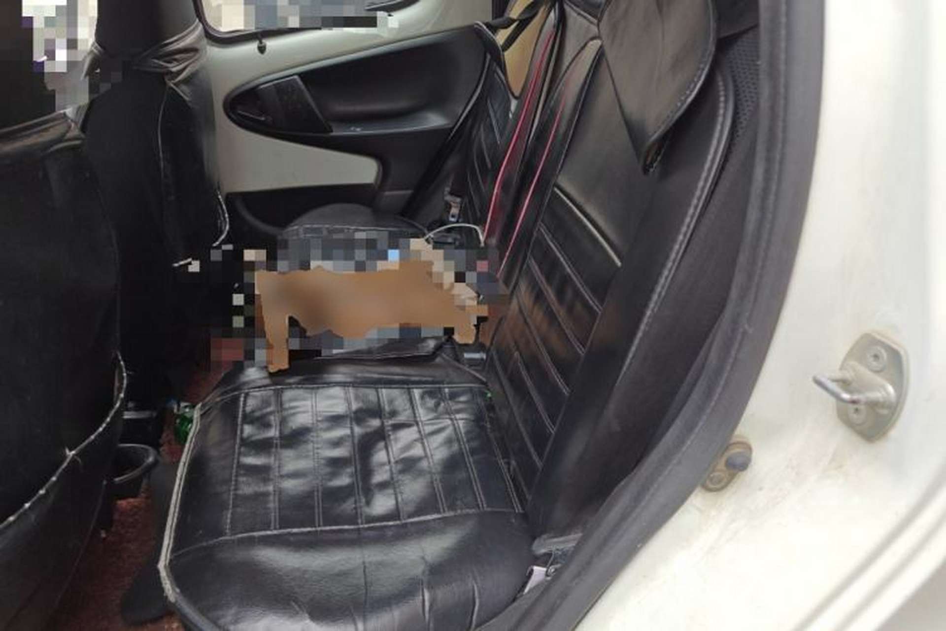 Used BYD F0 2012 1.0L XuanKu Trim Left Rear Seat