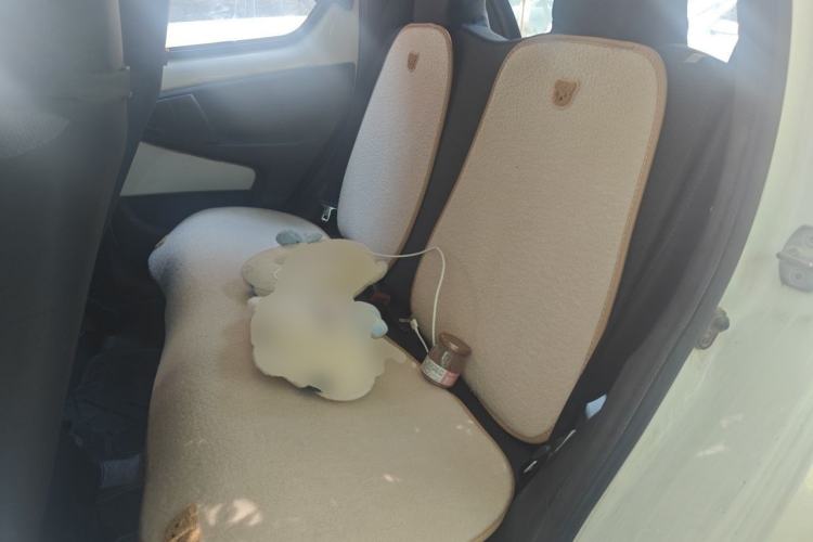 Used BYD F0 2012 1.0L XuanKu Trim Left Rear Seat
