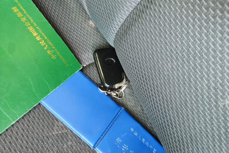 Used BYD F0 2012 1.0L XuanKu Trim Vehicle Key