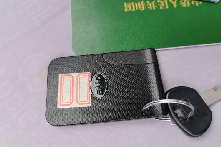 Used BYD F0 2012 1.0L XuanKu Trim Vehicle Key