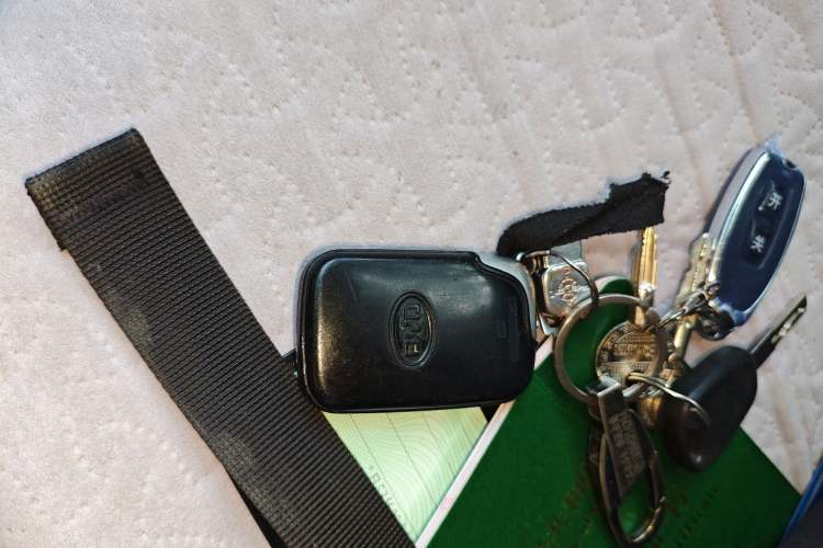 Used BYD F0 2012 1.0L Joyful Cool Model Vehicle Key