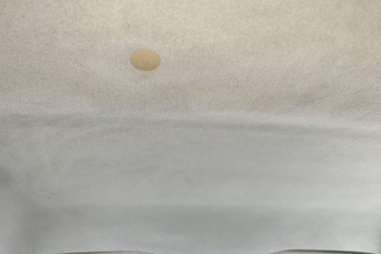 Used BYD F0 2013 1.0L AMT Joyful Cool Model Headliner