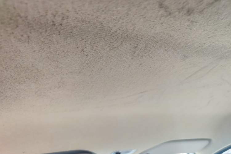 Used BYD F0 2015 1.0L AMT XuanKu Model Headliner