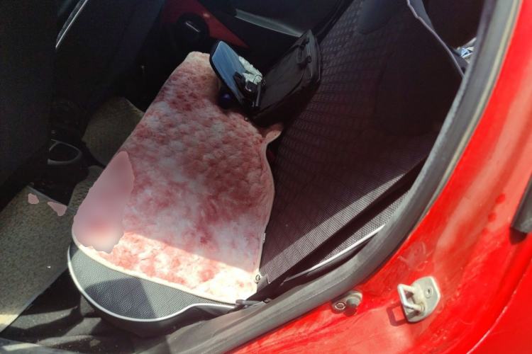 Used BYD F0 2015 1.0L AMT XuanKu Model Left Rear Seat