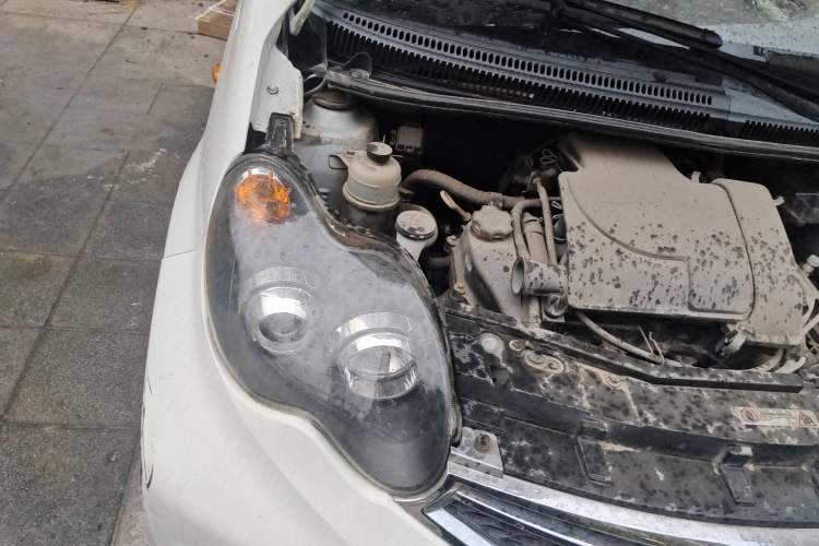 Used BYD F0 2015 1.0L XuanKu Model Engine Bay Right