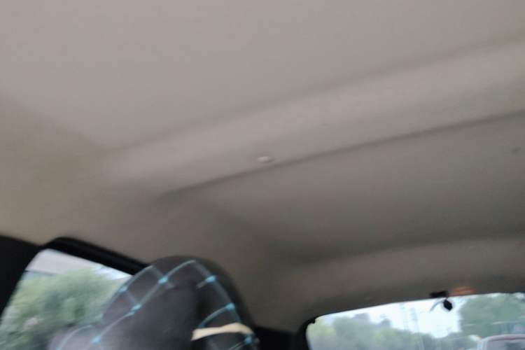 Used BYD F0 2015 1.0L XuanKu Model Headliner