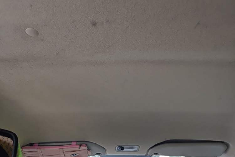 Used BYD F0 2015 1.0L AMT XuanKu Model Headliner