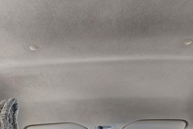 Used BYD F0 2015 1.0L XuanKu Model Headliner