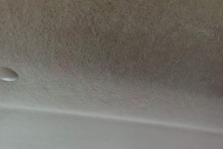 Used BYD F0 2015 1.0L AMT XuanKu Model Headliner