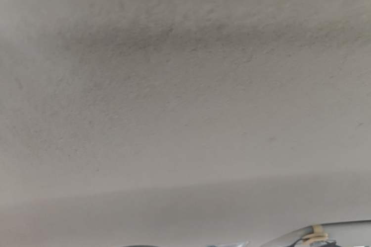 Used BYD F0 2015 1.0L XuanKu Model Headliner
