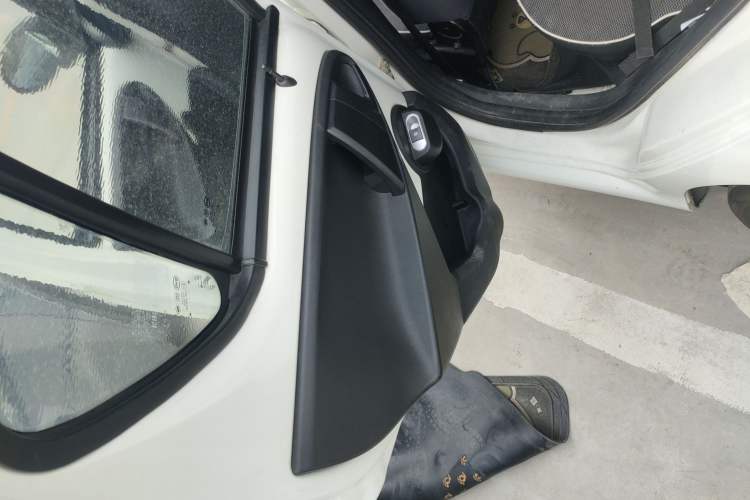 Used BYD F0 2015 1.0L AMT XuanKu Model Left Rear Door Interior