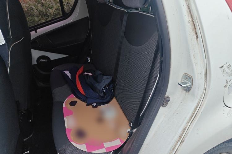 Used BYD F0 2015 1.0L AMT XuanKu Model Left Rear Seat