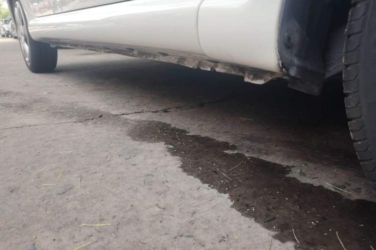 Used BYD F0 2015 1.0L Joyful Model Right Side Sill