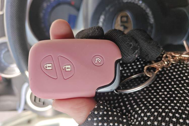 Used BYD F0 2015 1.0L Joyful Model Vehicle Key
