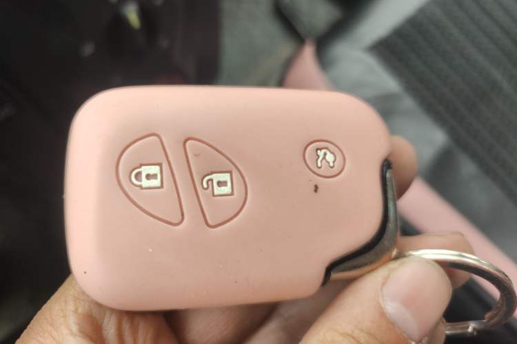 Used BYD F0 2015 1.0L Joyful Model Vehicle Key