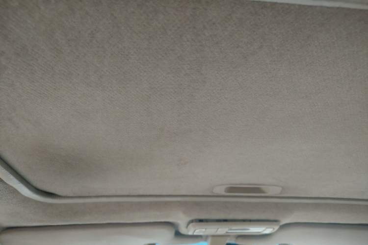 Used BYD F3 2008 1.5L Platinum Edition Luxury GLX-i Headliner