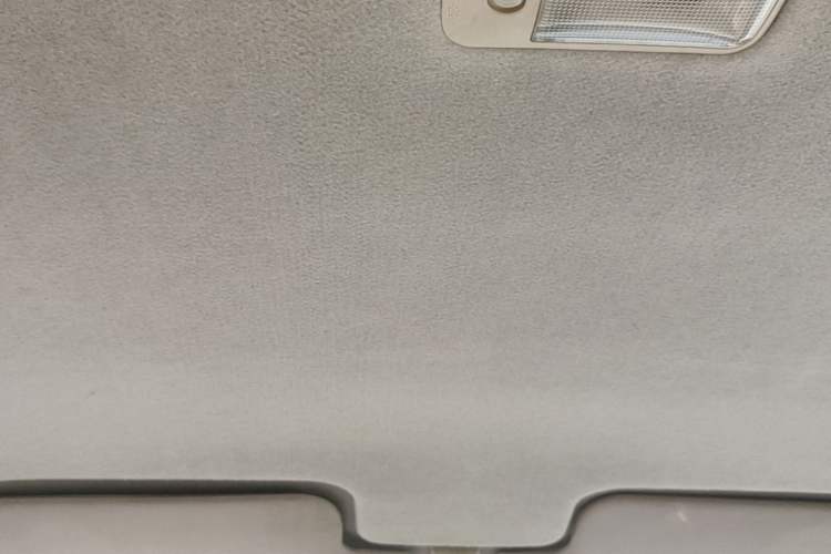 Used BYD F3 2013 Energy-Efficient Model 1.5L Manual Comfort Version Headliner