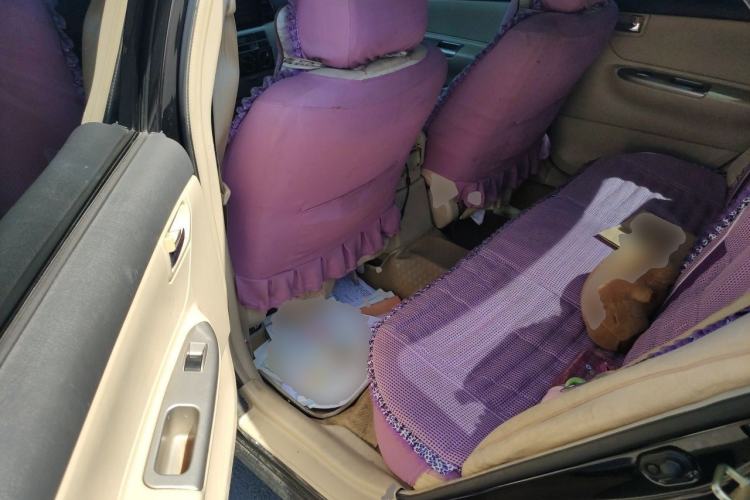 Used BYD F3 2013 Energy-Saving Edition 1.5L Manual Standard Model Left Rear Seat