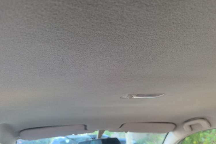 Used BYD F3 2013 Energy-Efficient Model 1.5L Manual Comfort Version Headliner