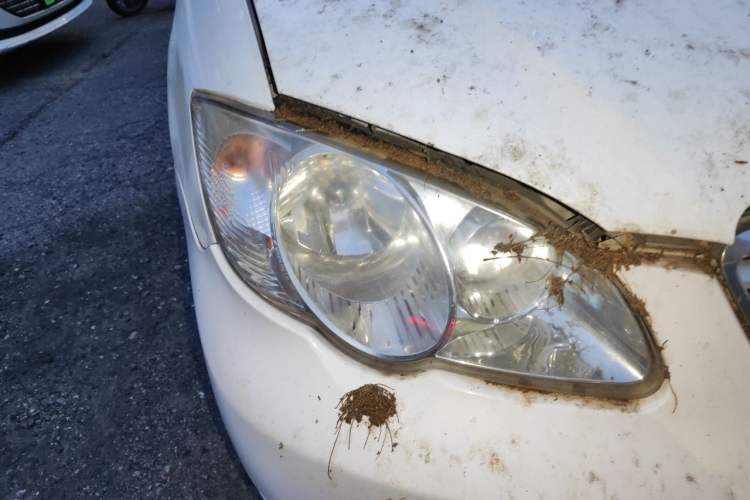 Used BYD F3 2013 Energy-Efficient Model 1.5L Manual Comfort Version Right Front Headlight