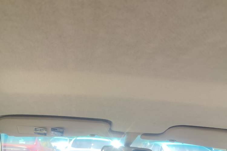 Used BYD F3 2014 1.5L Manual Luxury Model Headliner