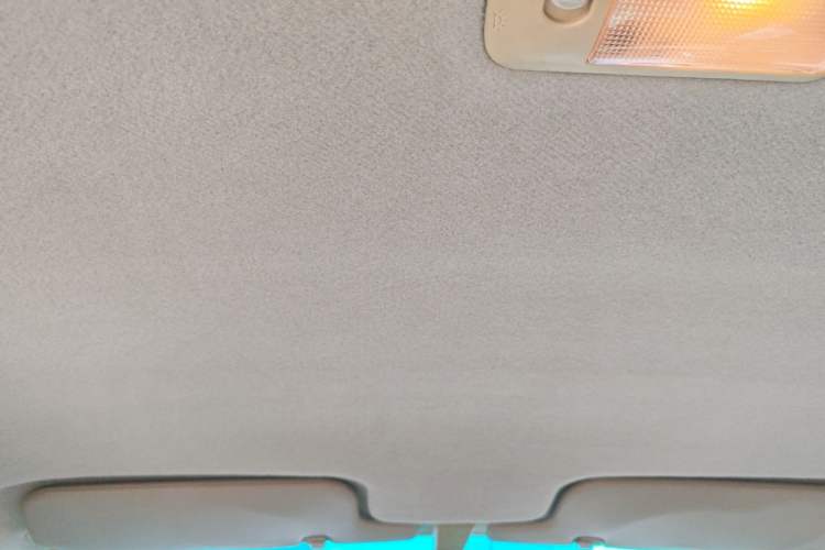 Used BYD F3 2014 1.5L Manual Comfort Model Headliner