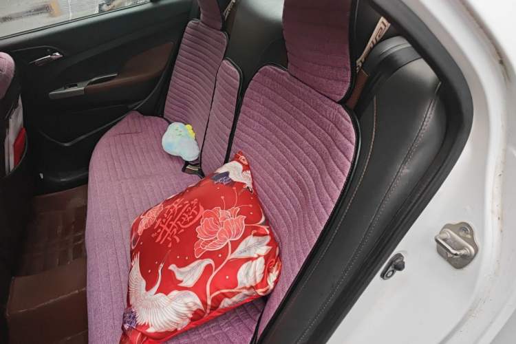 Used BYD F3 2015 Energy-Saving Edition 1.5L Manual Luxury Model Left Rear Seat