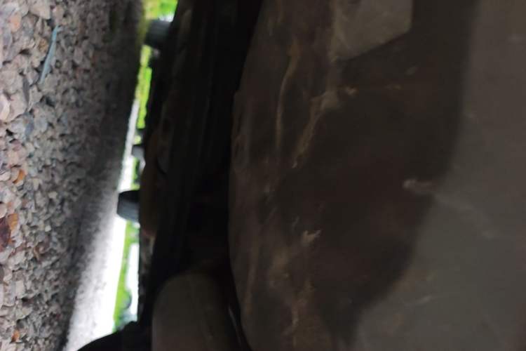 Used BYD F3 2016 1.5L Manual Comfort Model Chassis Rear