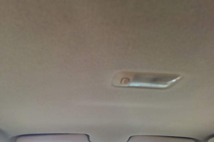 Used BYD F3 2016 1.5L Manual Comfort Model Headliner