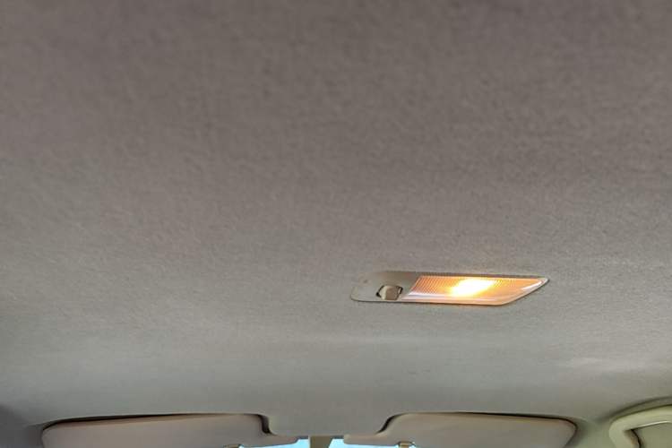 Used BYD F3 2016 1.5L Manual Comfort Model Headliner