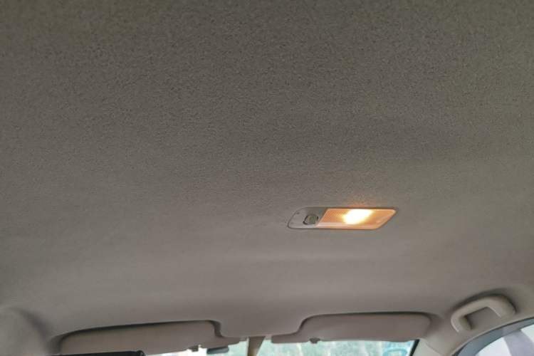 Used BYD F3 2016 1.5L Manual Comfort Model Headliner