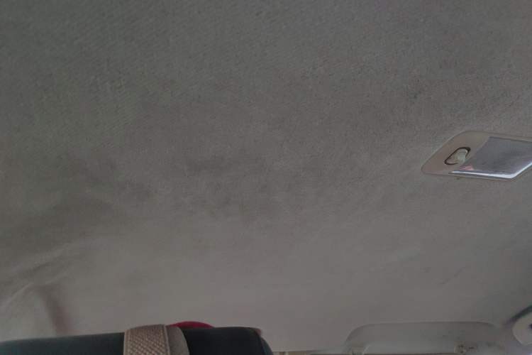 Used BYD F3 2016 1.5L Manual Comfort Model Headliner