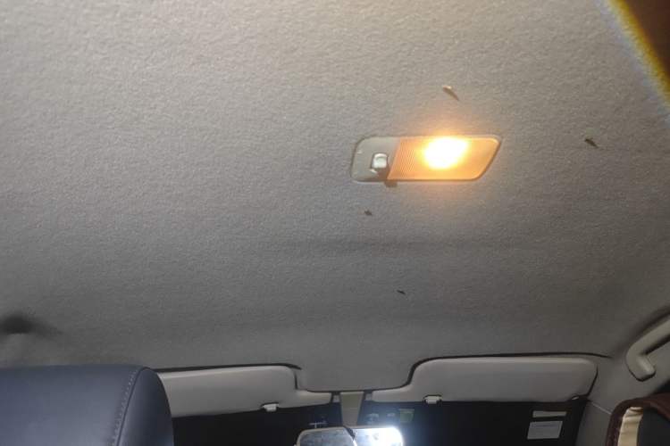 Used BYD F3 2018 1.5L Manual Classic Model Headliner