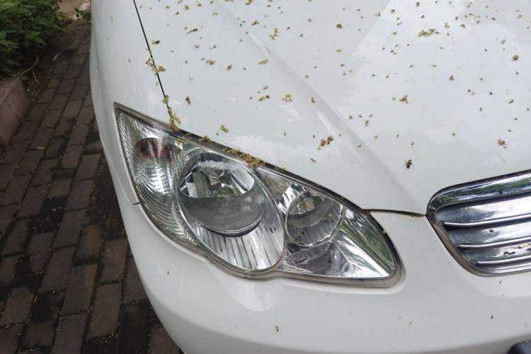 Used BYD F3 2018 1.5L Manual Classic Model Right Front Headlight