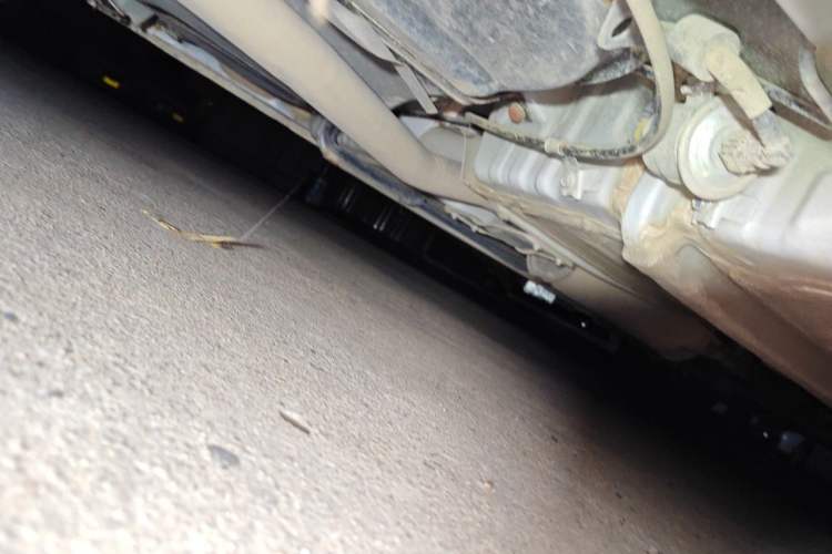 Used BYD F3 2020 1.5L Manual Classic Trim Chassis Rear Right