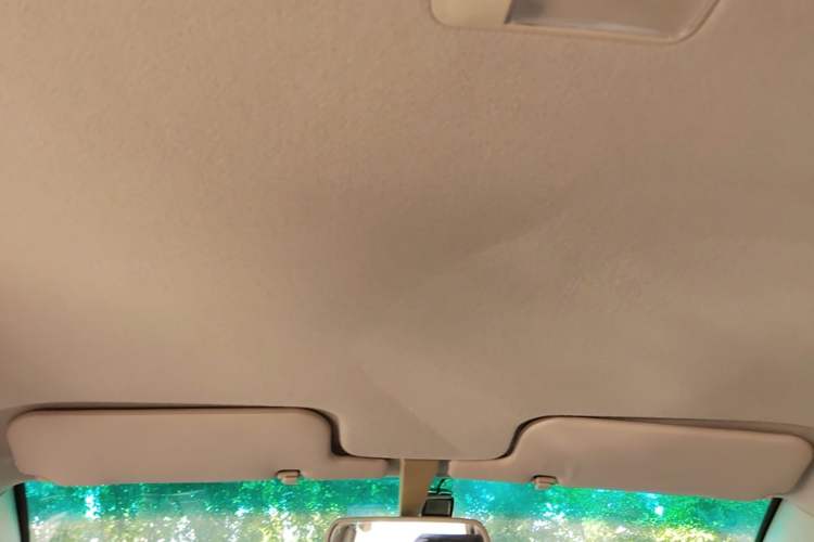 Used BYD F3 2020 1.5L Manual Value Edition Headliner
