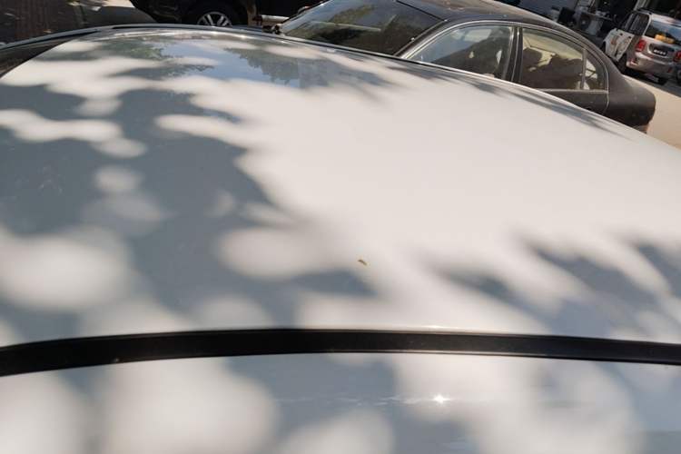 Used BYD F3 2020 1.5L Manual Value Edition Roof
