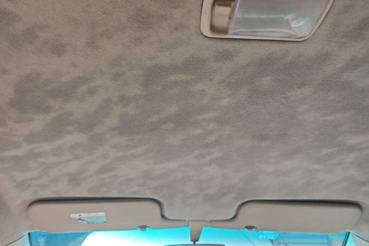 Used BYD F3R 2009 Gold Diamond Edition 1.5L Elite Model Headliner