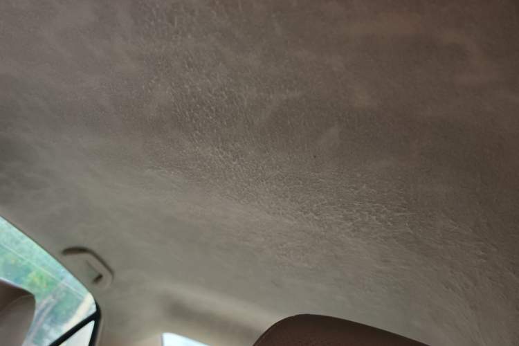 Used BYD F6 2010 Golden Edition 1.8L Manual Luxury Model Headliner