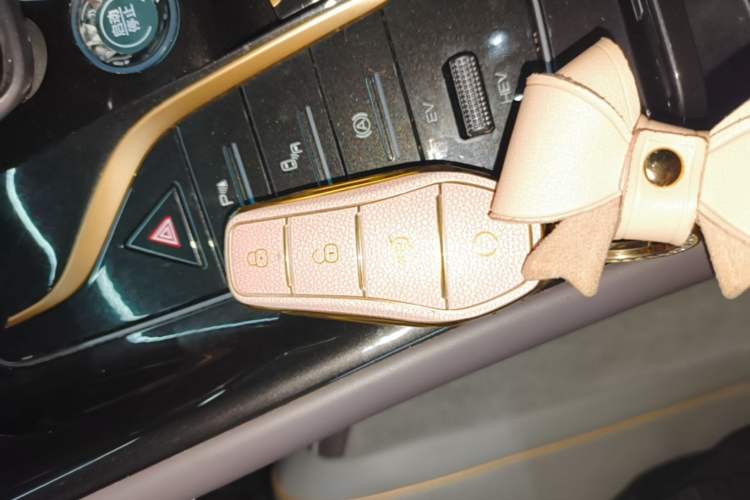 Used BYD Frigate 07 2023 DM-i 100KM Prestige Model Interior 1