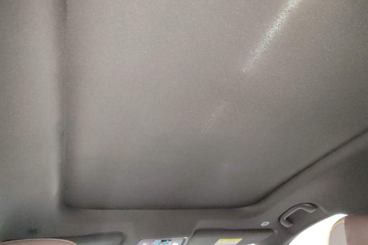 Used BYD Frigate 07 2023 DM-i 205KM Prestige Model Headliner